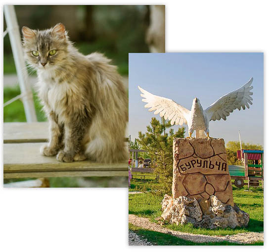 Буральча